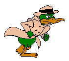Undercover Duck