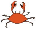 Crab Pince