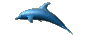 Dolphin #3