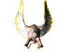 Pigs Do Fly