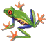 Frog Blink