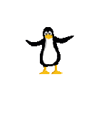 Somersault Penguin